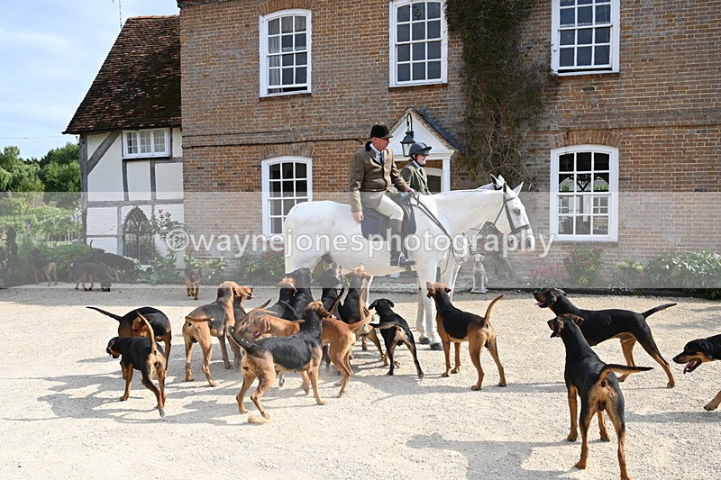 WJ6_3291 - Berks & Bucks - The Old farmhouse - Hound Exercise 20-08-25