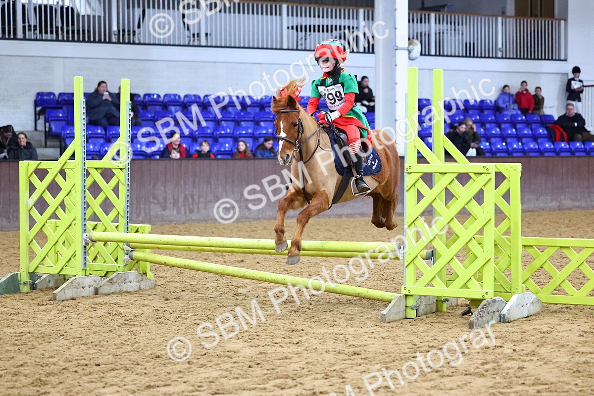 SBM_001443 - Class 3 - Christmas Tree Stakes - 60cm