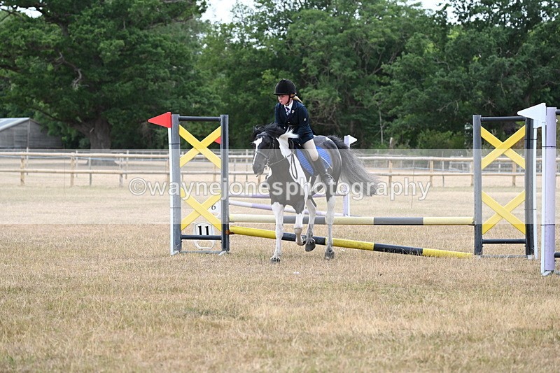 WJ6_9967 - Class 13 Novice Jumping 60cm
