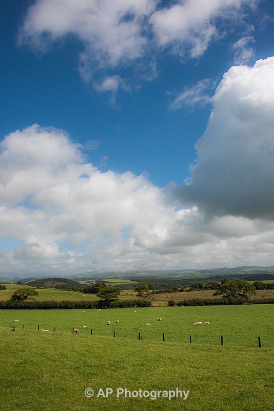 ACP_2449-2 - Rural Views