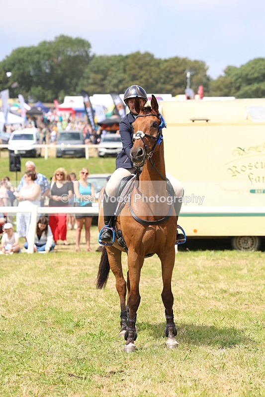 3E7A3472 - Class 10: Senior Foxhunter/1.20 open