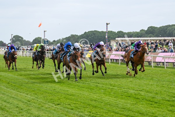 150525-First Legion-5145 - Race 6 4.55pm Frank Whittle Partnership ebfstallions.com Novice Stakes