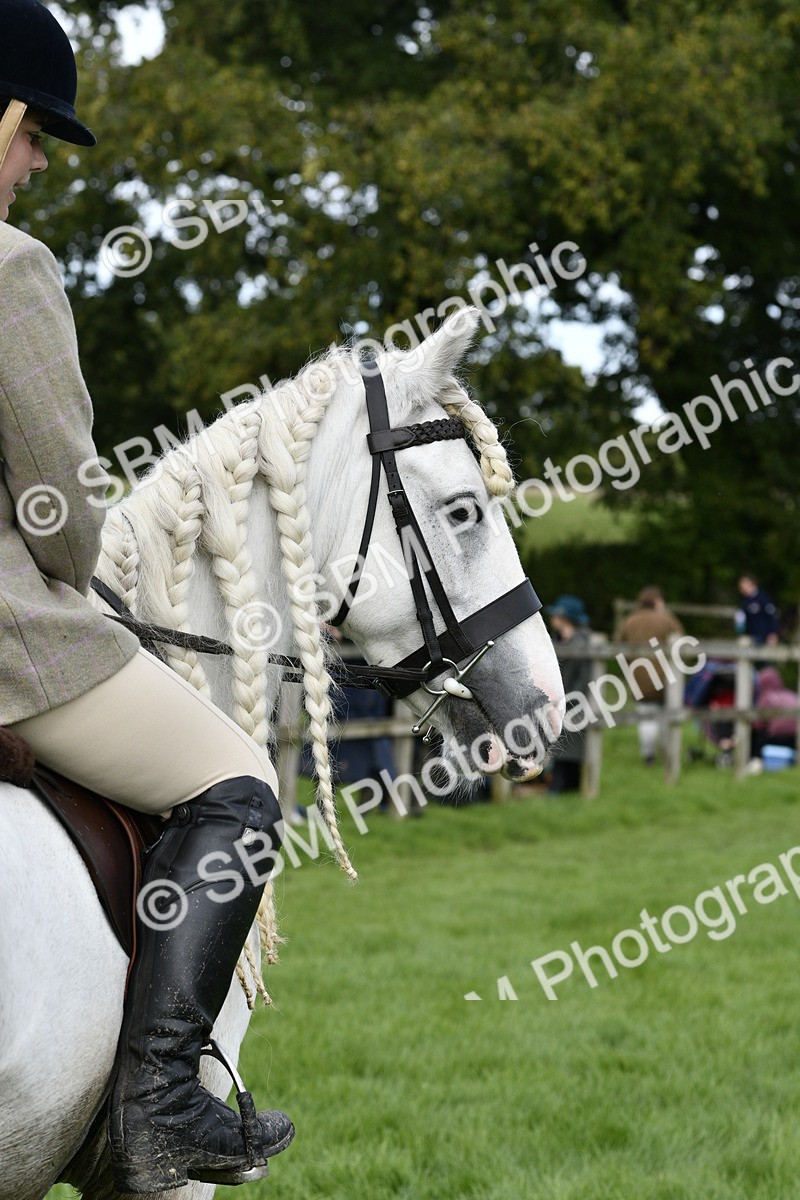 SBM_41570 - S32 - Mountain & Moorland Working Hunter Pony