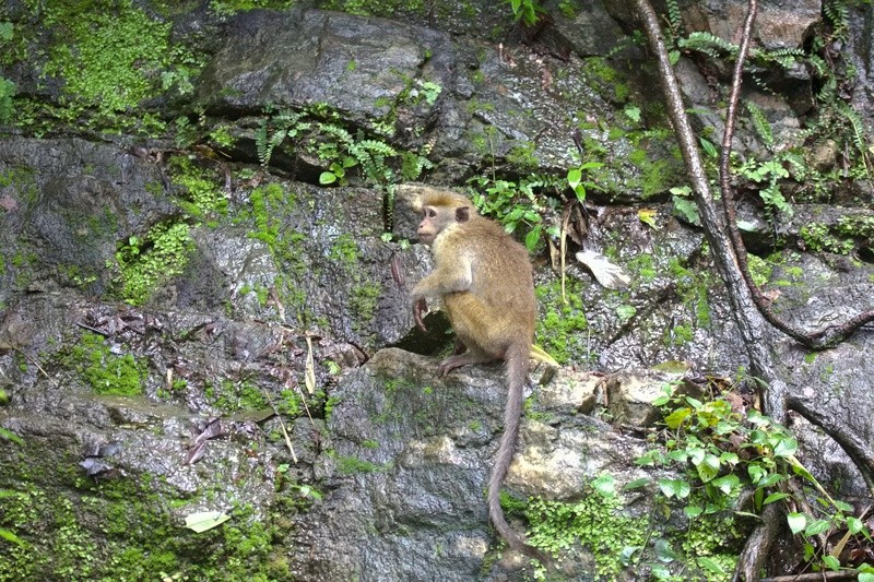 - Sri Lanka wildlife, people & places