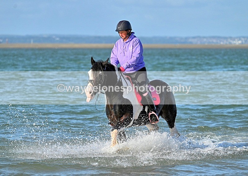 WJ7_3449_1 - Kellie & Churchill ... do Hayling Island 25-08-24