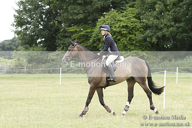 BVR160717-999 - Ring 3 BVRC Show 16/07/17