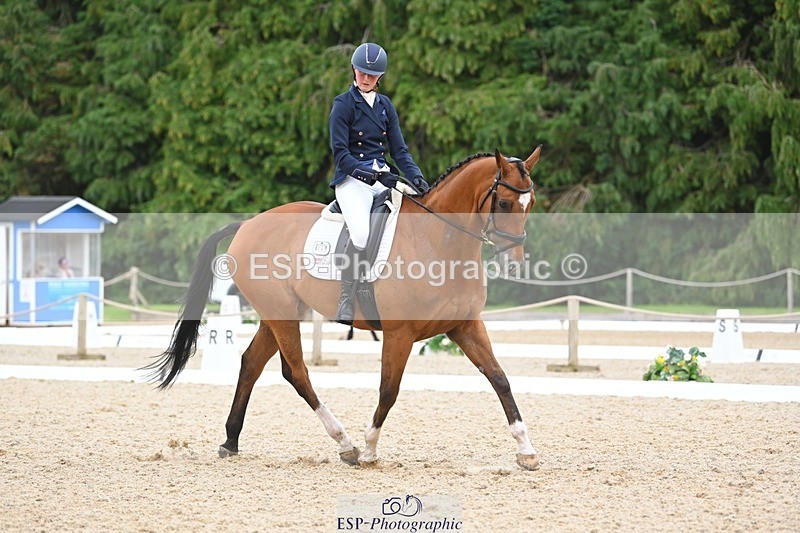 230813-132917-07580 - Cls 13 Medium Bronze 13.15 to End