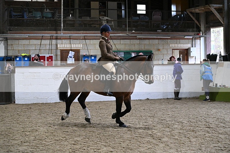 WJ7_3840 - Class 17 Ridden Cob