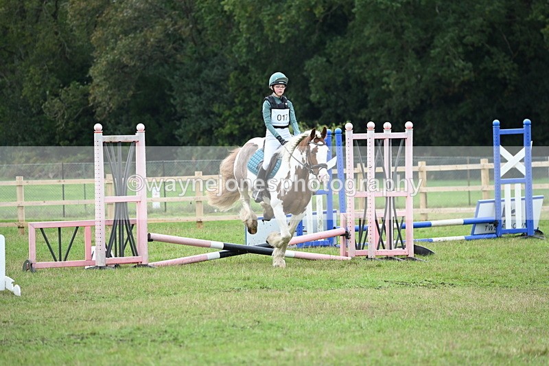 WJ6_0238 - 40cm Time 10:00 to 10:28