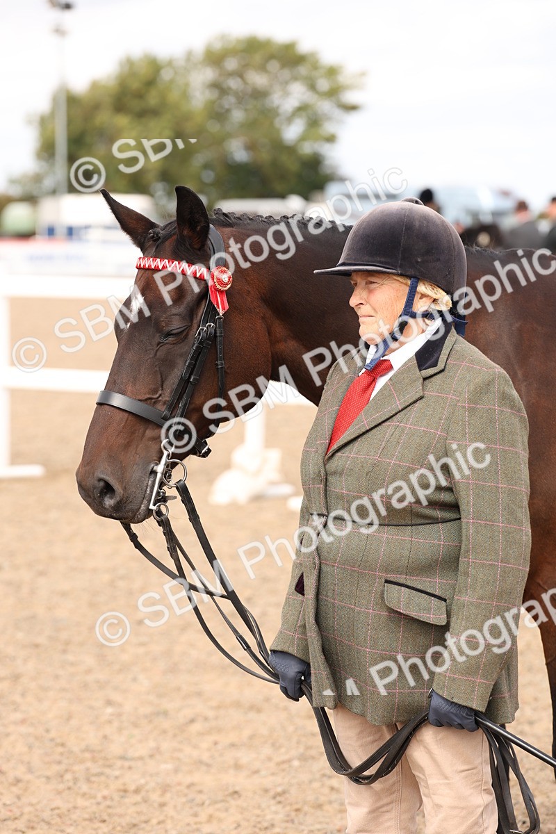 SBM_15386 - Class 210- IH Show Horse