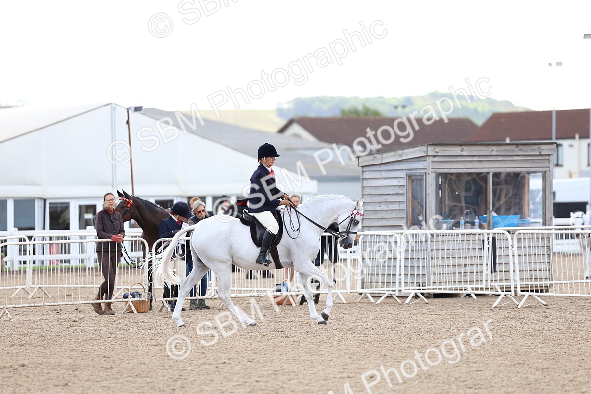 SBM_10126 - Class 304 - Ridden Part Bred Horse Pony