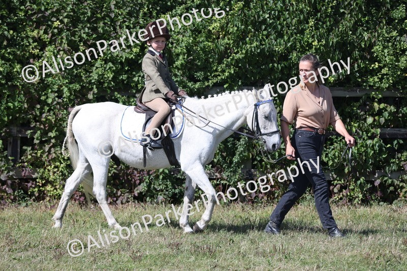 20250831-3139 - Class 24 - Absolute Beginners Pony