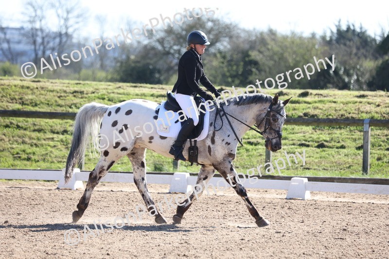 20260318-0475 - Class 5 - Novice 2