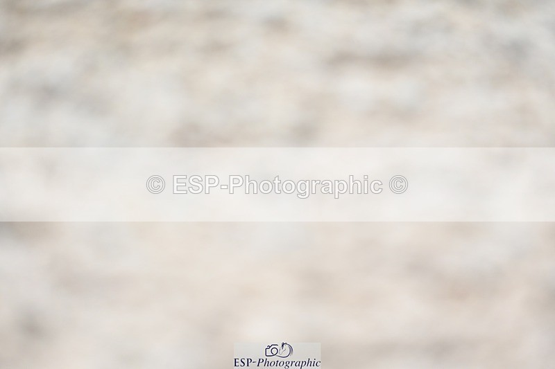 230813-141044-07695 - Cls 13 Medium Bronze 13.15 to End