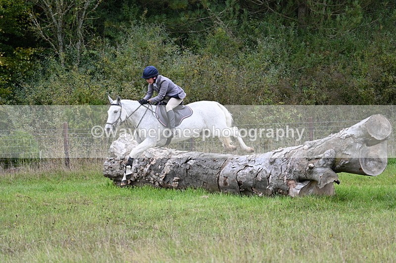 WJ7_3920 - Camera 1 Line 1