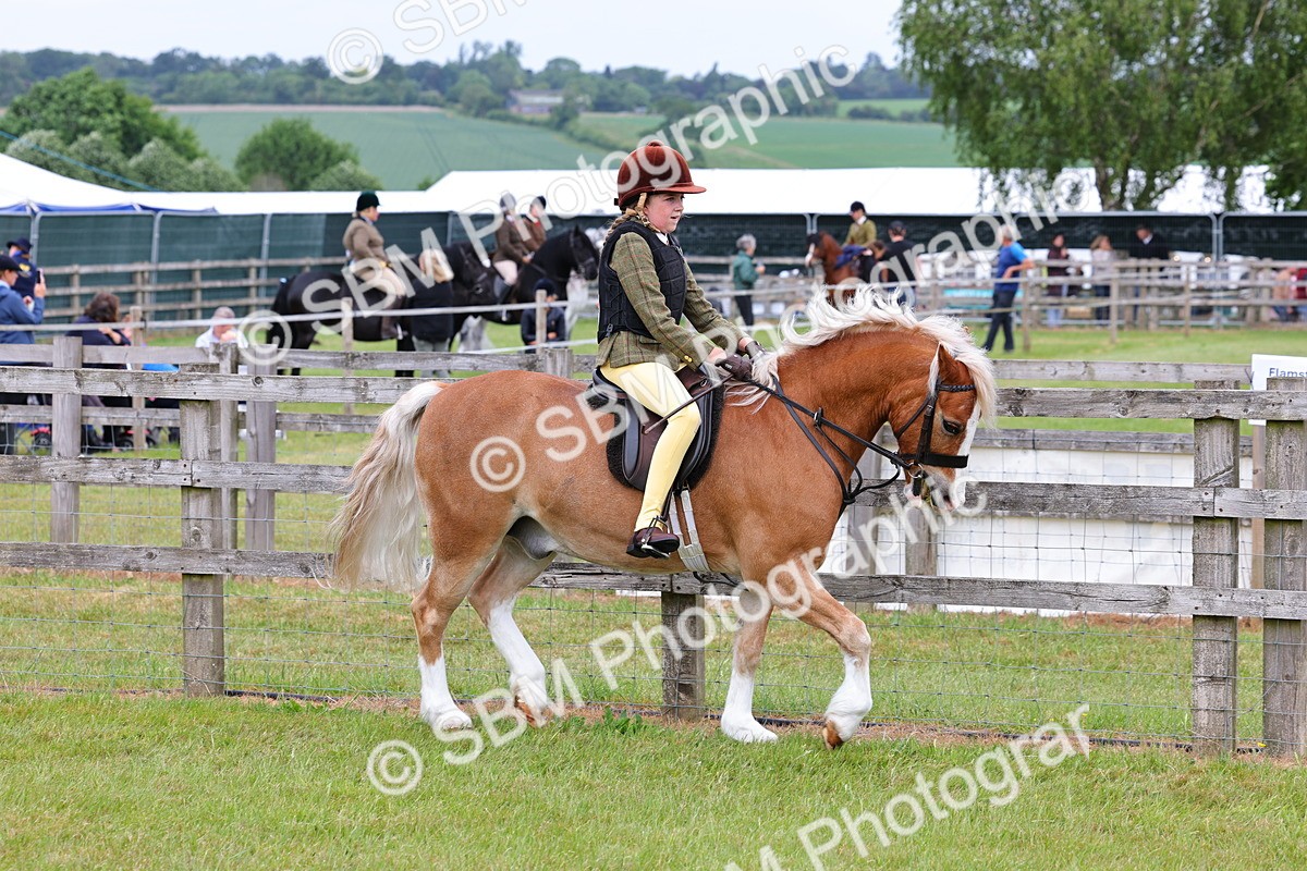 SBM_08538 - Class 42-43 - LIHS BSPS Heritage Working Sports Pony