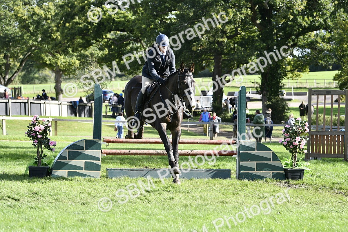 SBM_50049 - S34 - Novice & Newcomers Working Hunter