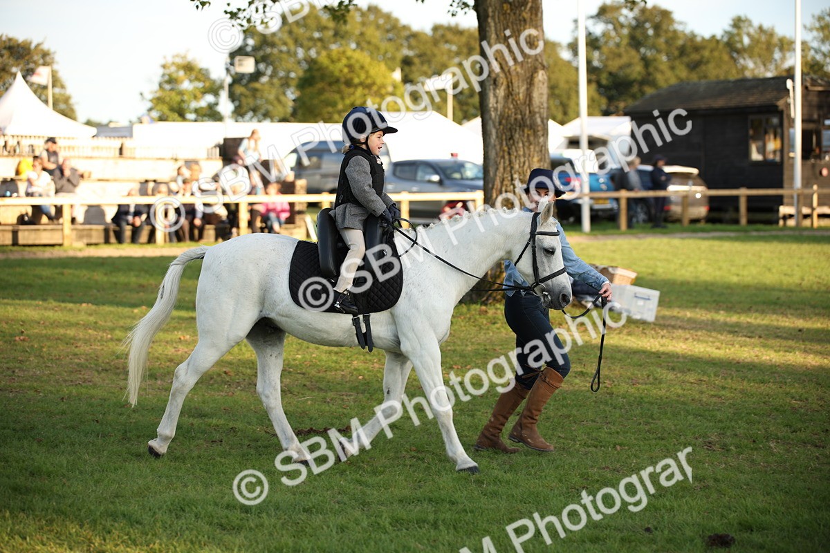 SBM_54477 - S27 - Mature Veteran - Ridden