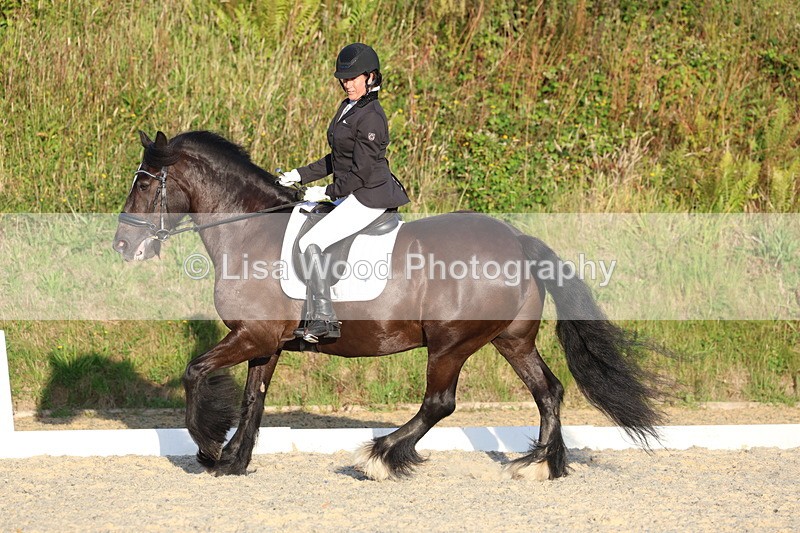 3E7A4391 - Class 5: Novice 1 2024 Section A