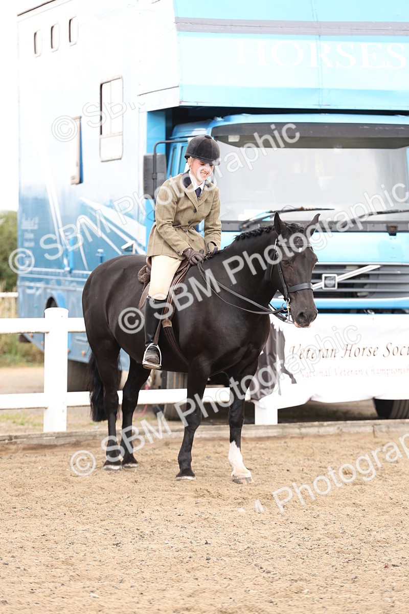 SBM_02917 - Class 53 - Ridden Competition Horse/Pony