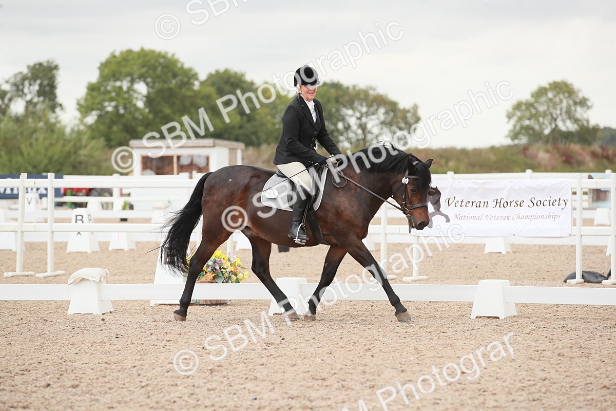 SBM_03746 - Class 31 - Prelim 1