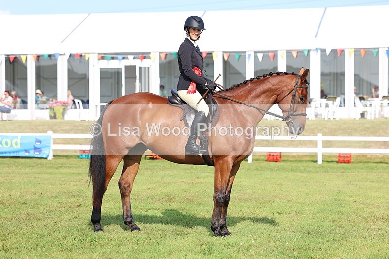 3E7A8389 - Class 2: Rising Star Large Hack/Riding Horse
