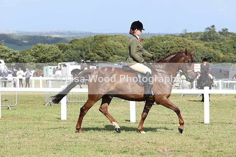 JPP_2863 - Class 20: Working Hunter 70cm