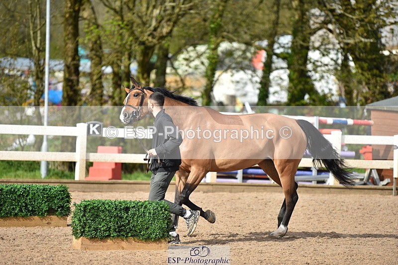 240417A-164448-01315 - 4pm to Finish