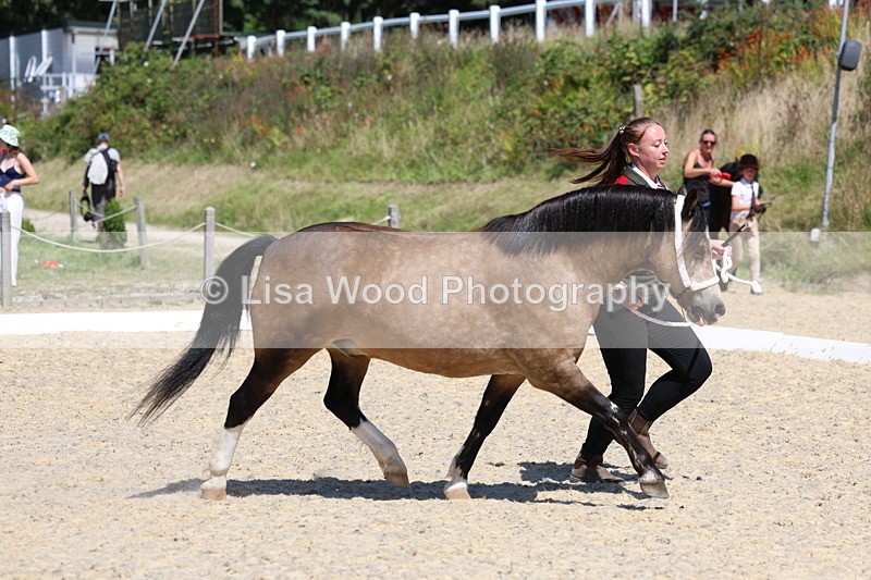 3E7A9569 - Class 32: Best Grass Kept