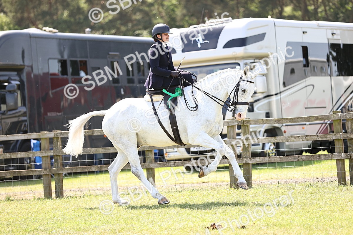 SBM_15255 - Class 79-80 - LIHS BSHA Rising Star Ridden Hunter