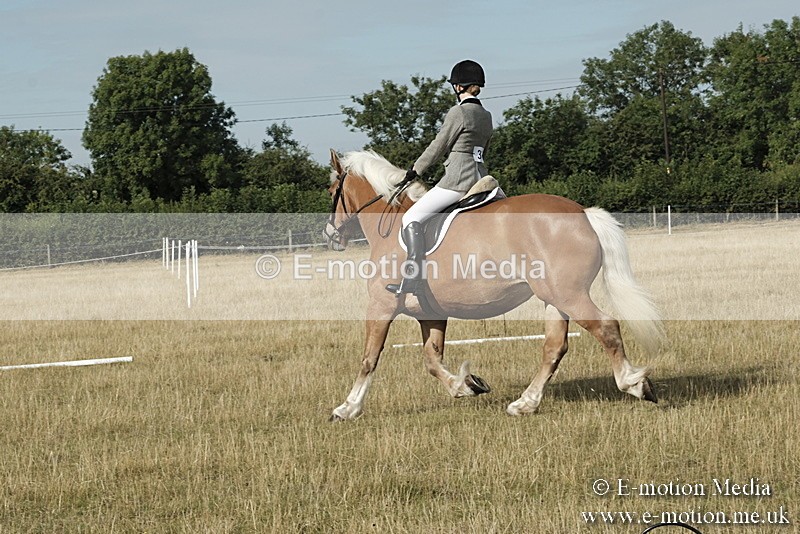 _PJP5565 - Dressage Classes BVRC Show 2018