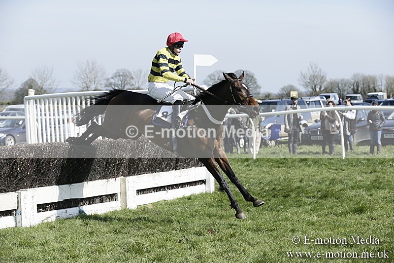 PtP 260317 63 - Mendip Farmers Point-to-Point Ston Easton 26/03/17
