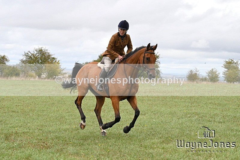 WJ7_1101 - Berks & Bucks Hound Exercise Blewbury 13-09-26