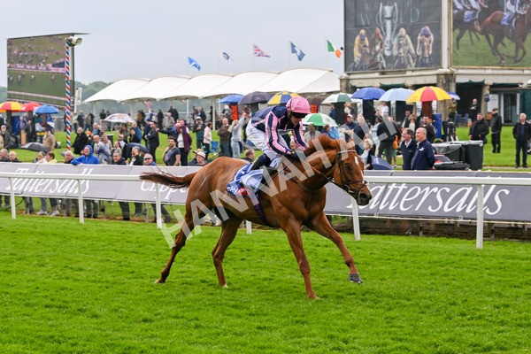 150524-Race 1-Crystal Delight-3591 - Race 1 2.15pm Sky Bet Race To The Ebor Jorvik Handicap