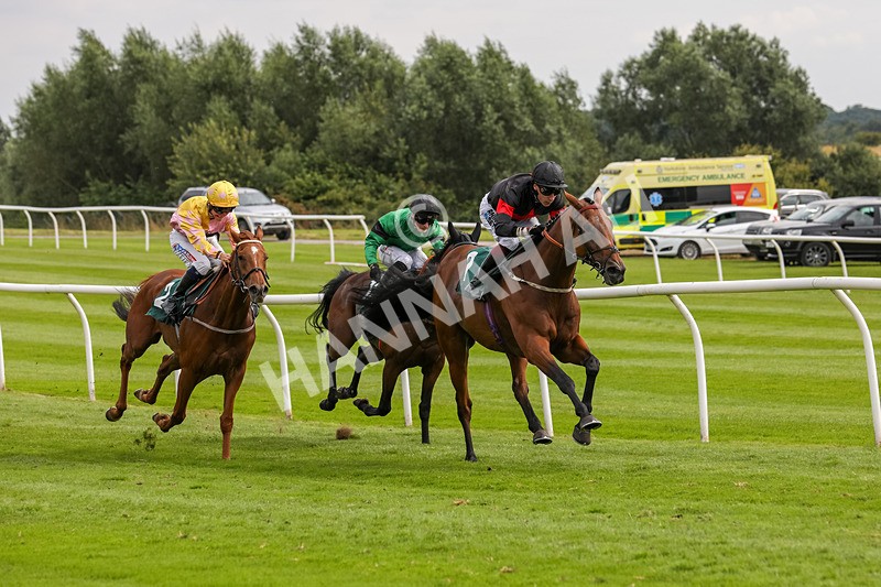 240724-Race 4-Swinging Eddie-3517 - Race 4