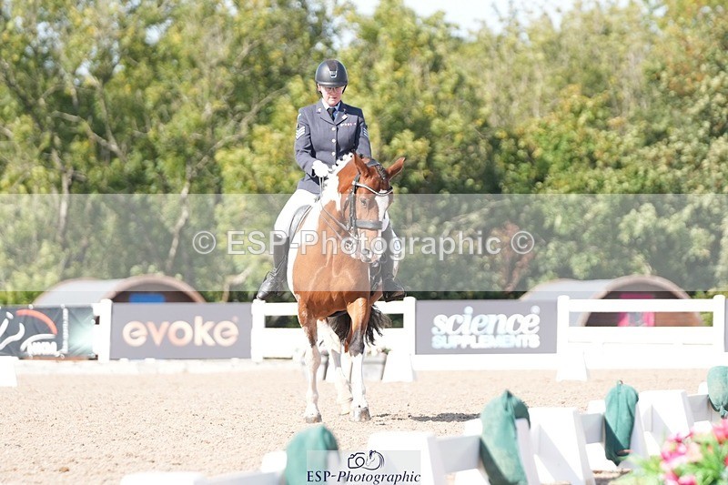 250906-151704-04714 - 112-Mel.DayDolderwydd.lucky.Maisie