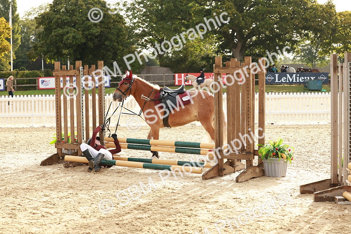SBM_55697 - J11 - Junior Pony 50cm Championship