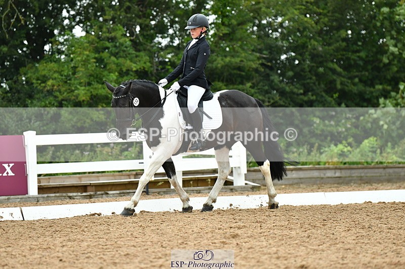 230708A-120033-02684 - Prelim 13