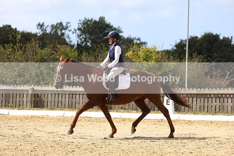 3E7A4000 - Class 9: Novice 6 Section B Championship