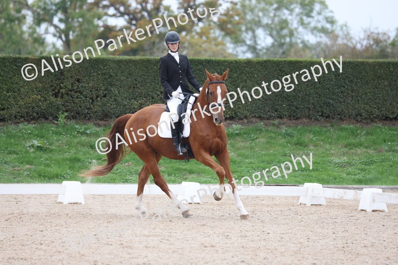 20251011-0574 - Class 7 - Elementary 2