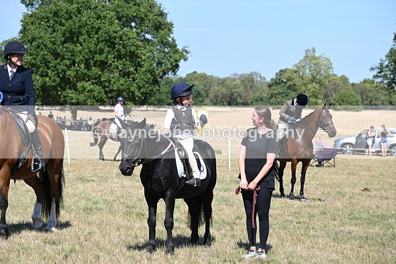 WJ6_8500 - Class 37a Best Loan Pony Ridden