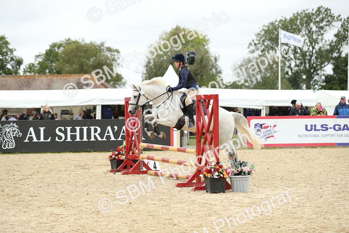 SBM_70129 - J15 - Junior Pony 70cm Championship