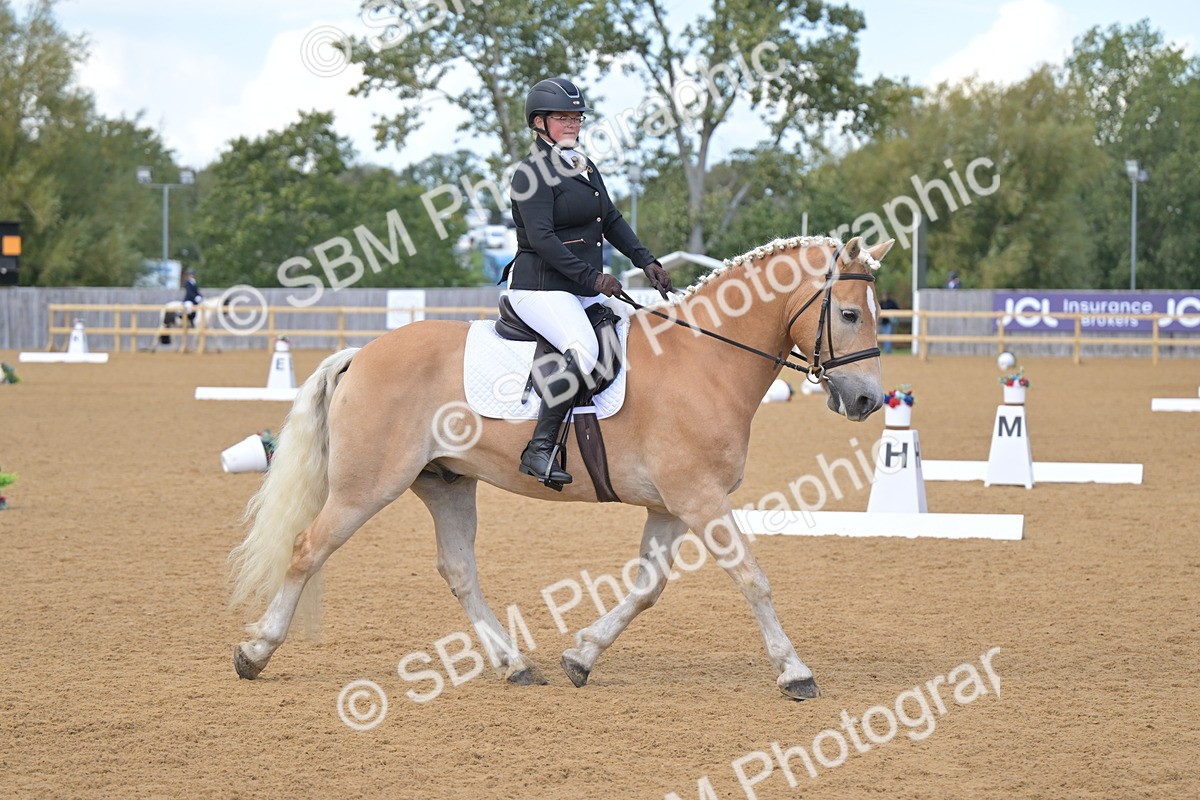 SBM_11135 - D3 - Small Tour Championship Intro 3