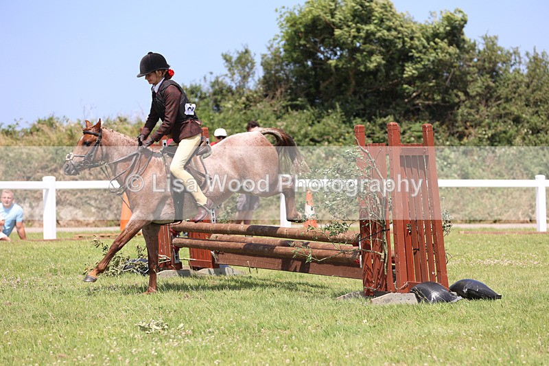 JPP_2451 - Class 21: Working Hunter 60cm