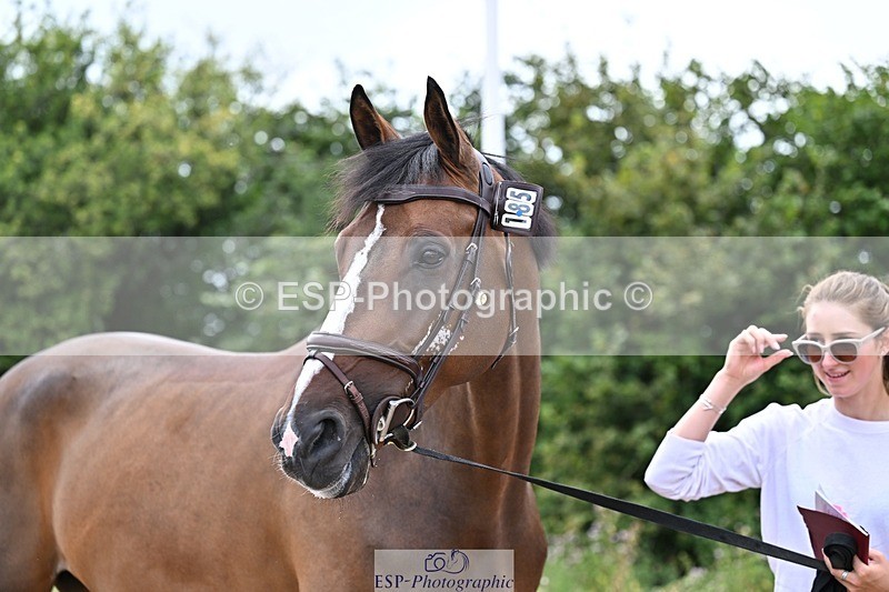 250716-135636-00710 - Trot Up 1.30 to 2.30