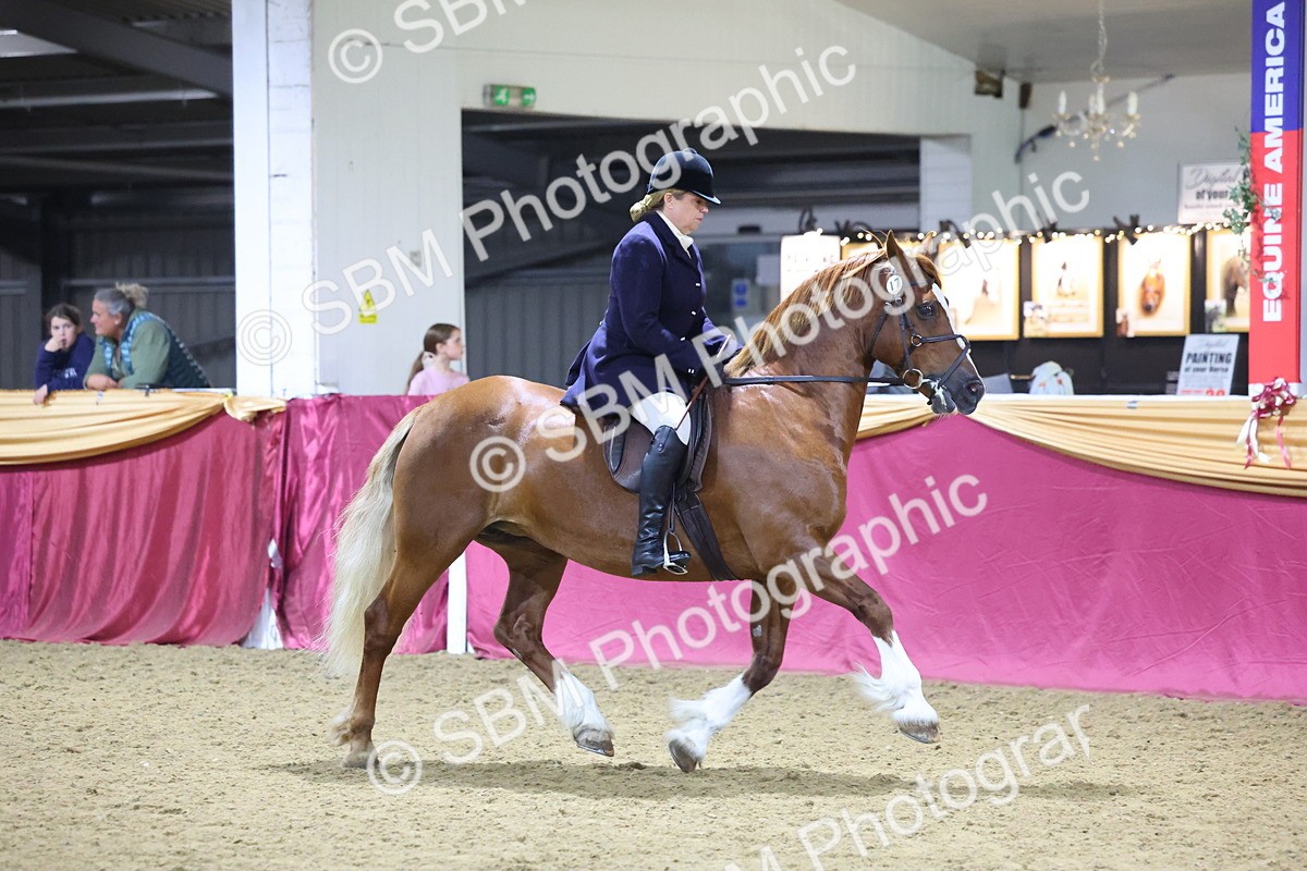 0B8A4601 - Class Q Style & Performance Champ