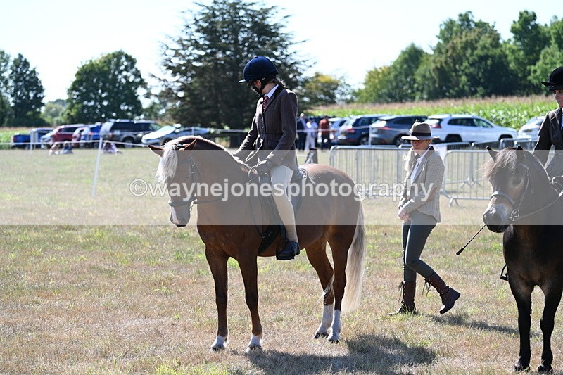WJ7_3978 - Class 9 Mountain & Moorland Ridden