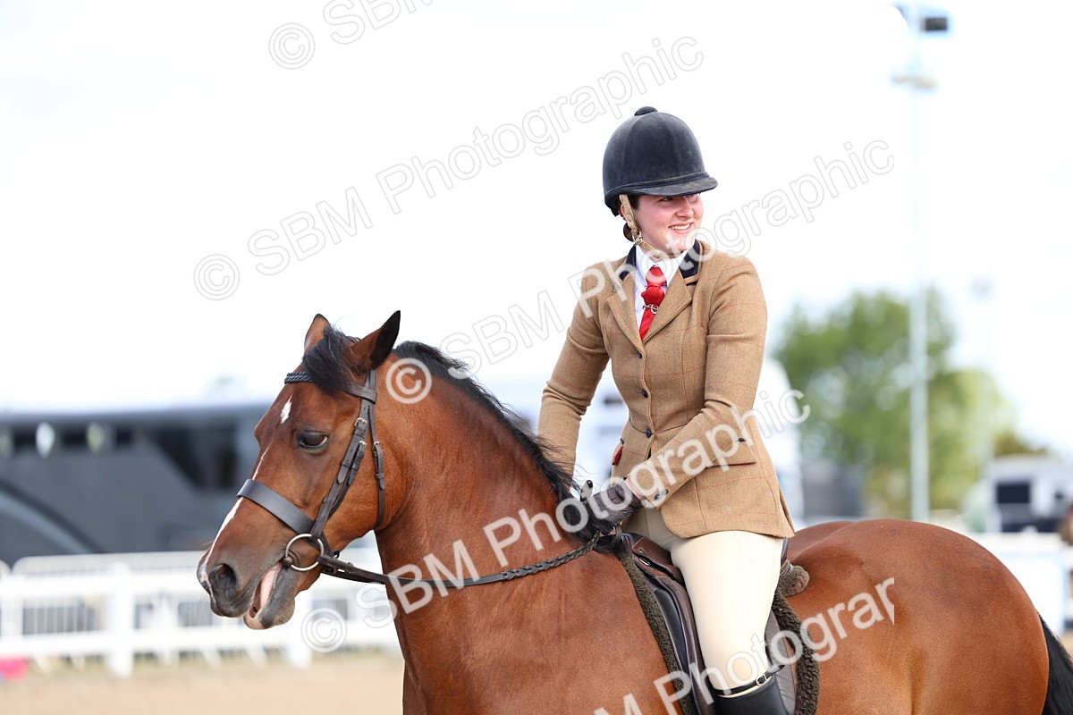 SBM_08957 - Class 302 - Ridden M&M - Large Breeds