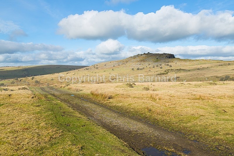  - Bodmin Moor