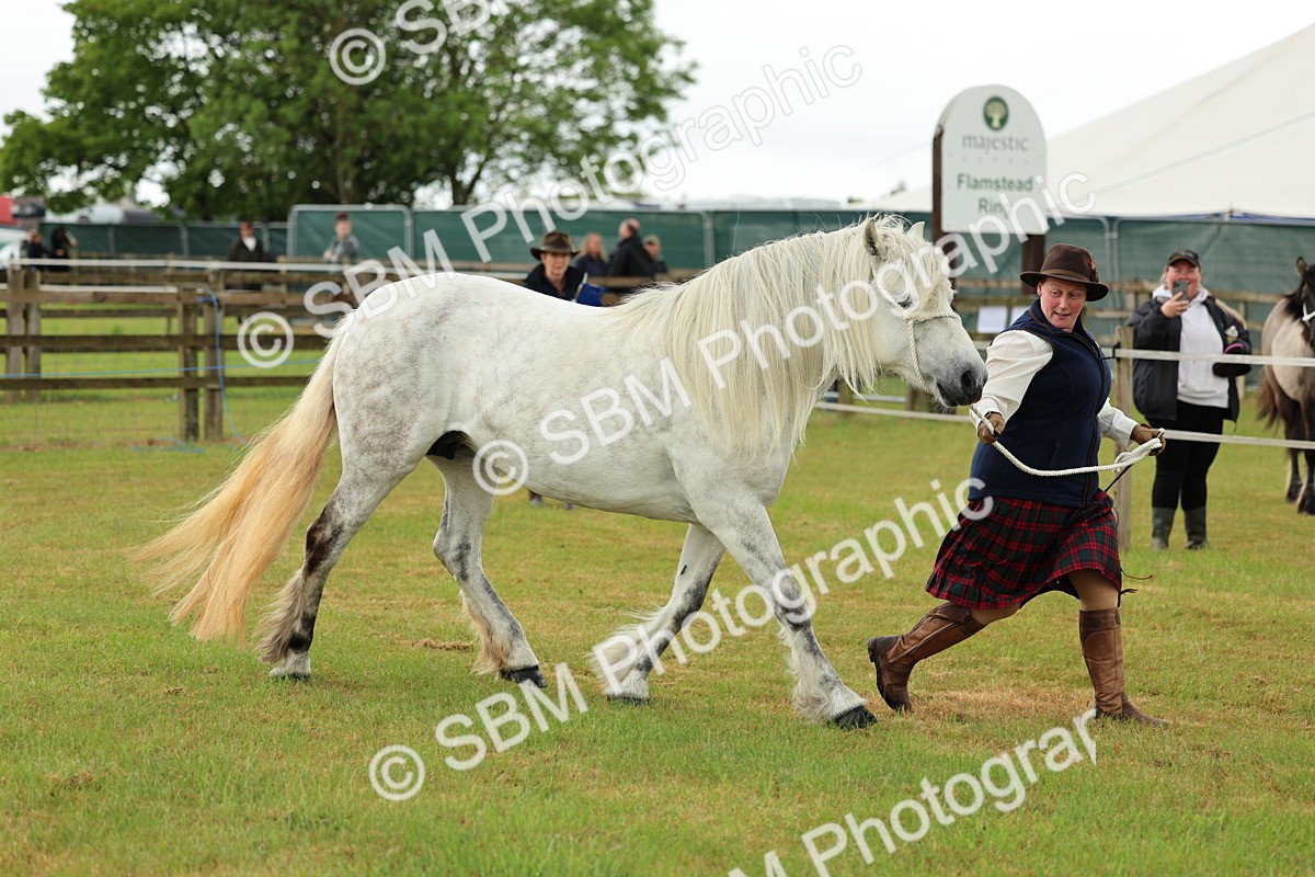 SBM_00489 - Class 58-67 - M&M Non Welsh Pony In hand